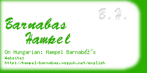 barnabas hampel business card